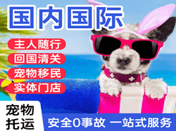 通辽航空快递国际宠物托运 【国